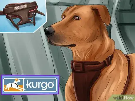 Image titled Prevent Your Dog from Becoming Carsick Step 11