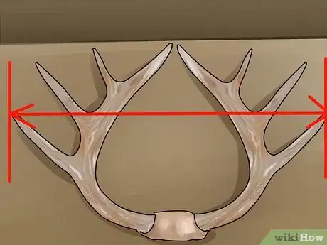 Image titled Score Mule Deer Antlers Step 13