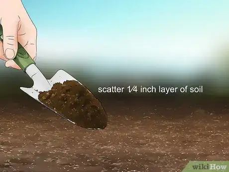 Image titled Grow Endive Step 7