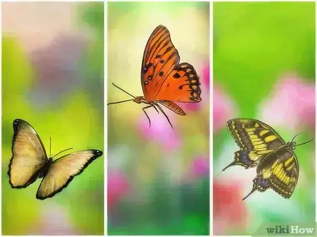 Image titled Attract Butterflies Step 1