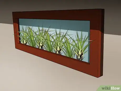 Image titled Decorate with Air Plants Step 3