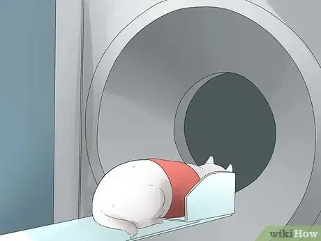 Image titled Diagnose a Cat Cough Step 17