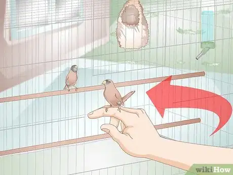 Image titled Disinfect a Finch Cage Step 12