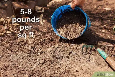 Image titled Grow a Tomato Plant Step 10