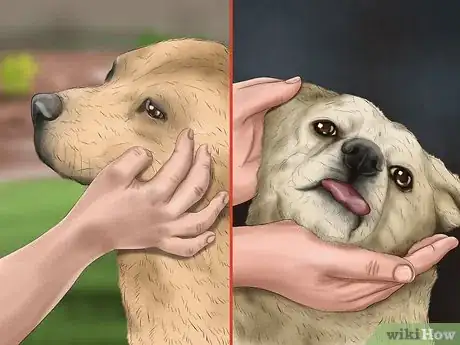 Image titled Approach an Unfamiliar Dog Step 14