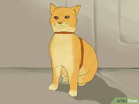 Image titled Travel with a Cat Step 12