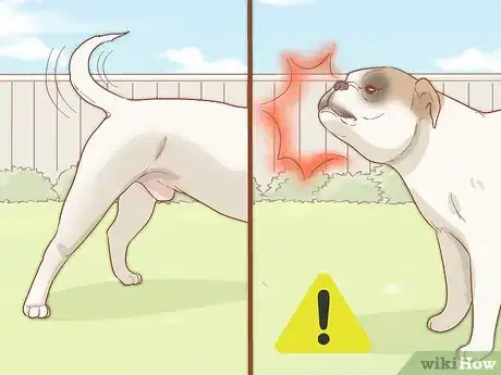 Image titled Care for Your Older Dog Step 14