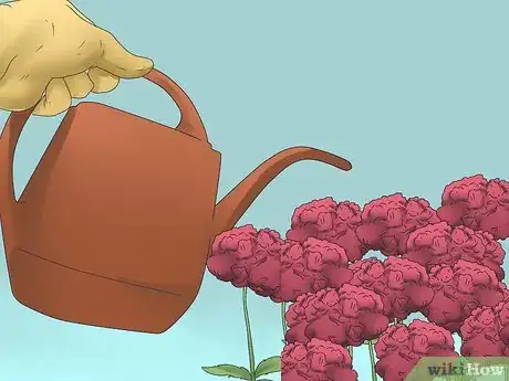 Image titled Grow Poppies Step 19