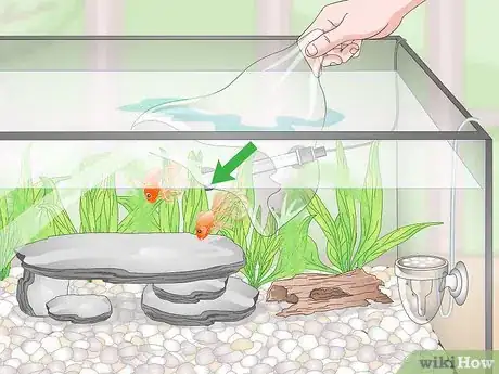 Image titled Set up a Planted Goldfish Aquarium Step 18