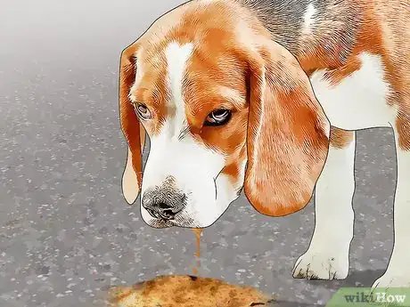 Image titled Protect Pets from Lead Poisoning Step 7