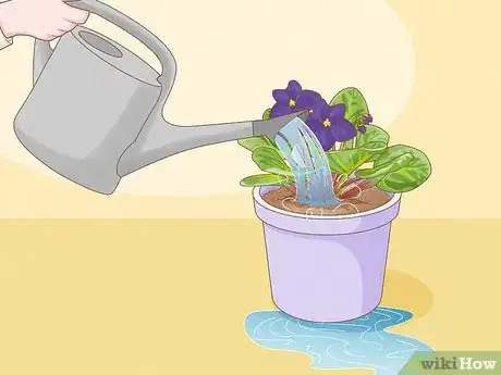 Image titled How Often Do You Water an African Violet Step 5