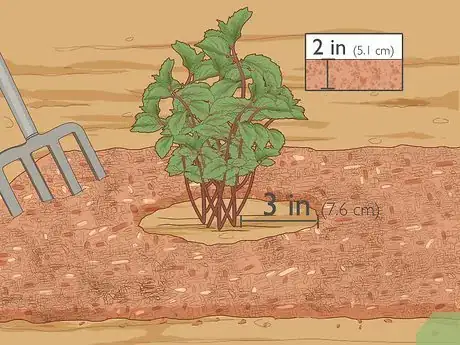 Image titled Water Herbs Step 9