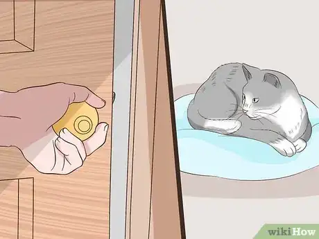 Image titled Keep a Cat Safe Step 3