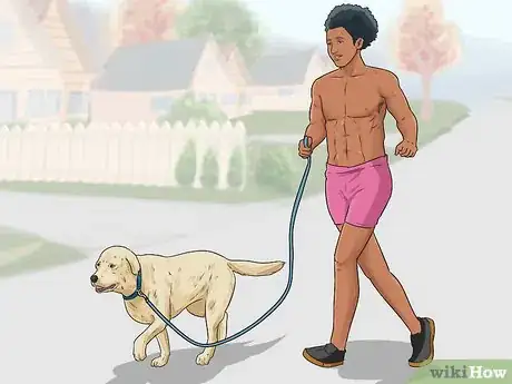 Image titled Exercise Your Dog Step 13