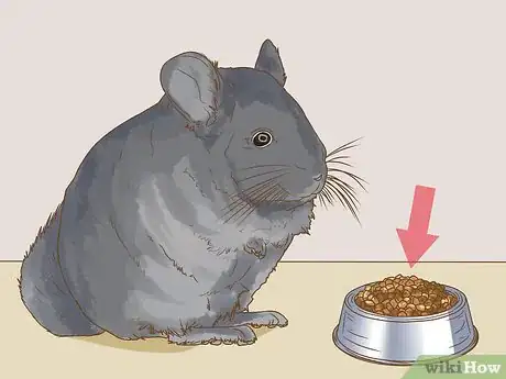 Image titled Clean a Chinchilla Cage Step 3