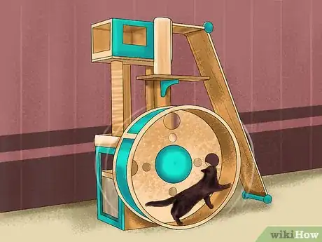 Image titled Choose a Kitty Condo Step 7