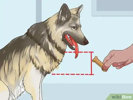 Image titled Give Your Dog a Treat Step 1