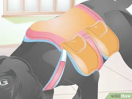 Image titled Fit a Dog Backpack Step 7