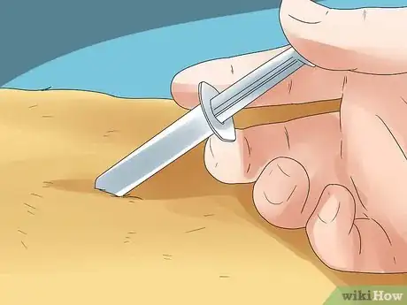 Image titled Diagnose and Treat Dog Diarrhea Step 22