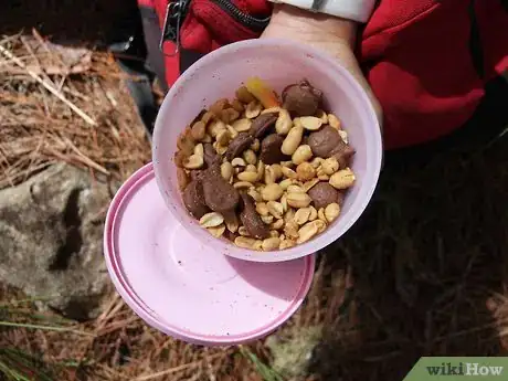 Image titled Survive in the Woods without Hunting Step 4