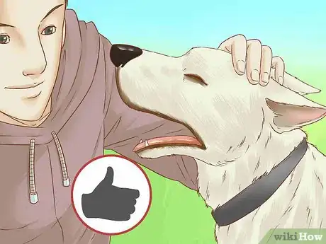 Image titled Train Your Dog With Silent Signals Step 3