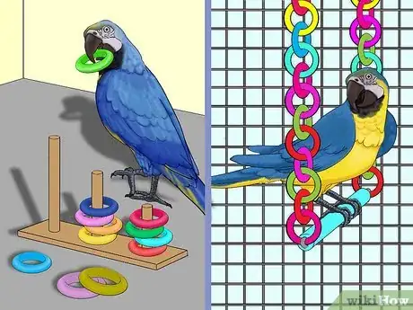 Image titled Calculate the Cost to Adopt a Parrot Step 6