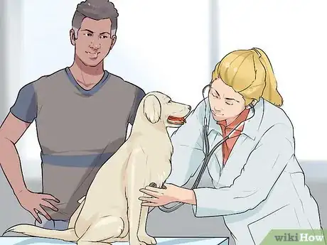 Image titled Rule Out Medical Causes of Bad Behavior in Aging Dogs Step 7