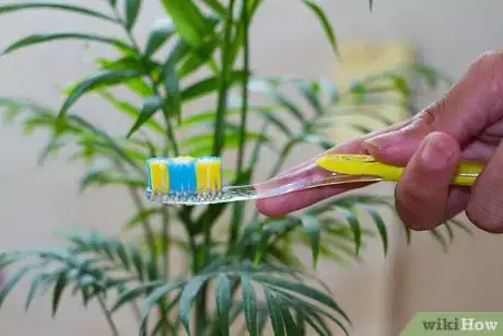 Image titled Clean Your Indoor Houseplants Step 3