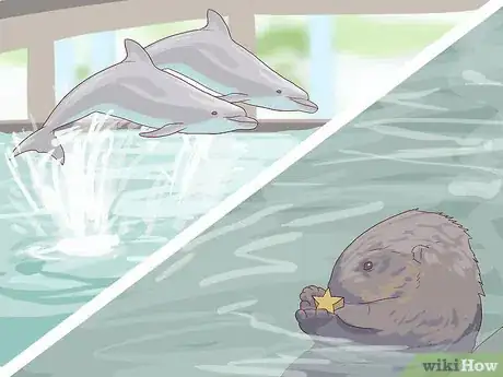 Image titled Visit SeaWorld San Diego Step 8