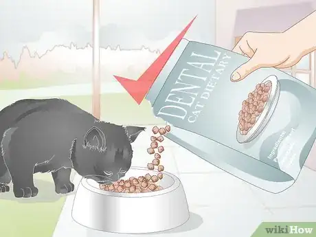 Image titled Stop Teeth Grinding in Cats Step 7