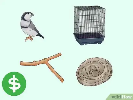 Image titled Choose a Finch Step 9