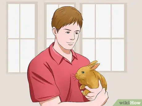 Image titled Care for Sussex Rabbits Step 16