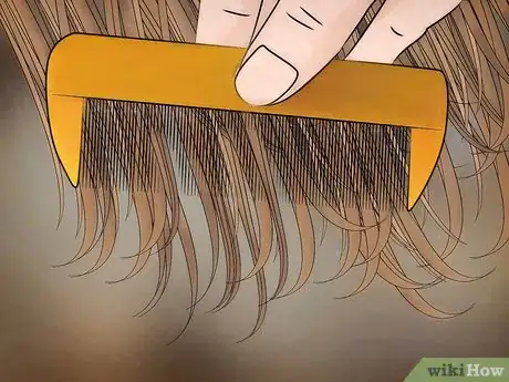 Image titled Free Your Child from Lice Step 3