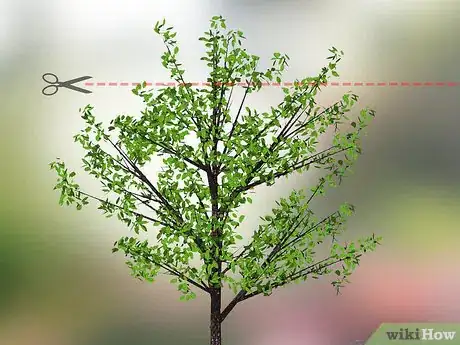 Image titled Prune a Cherry Tree Step 10