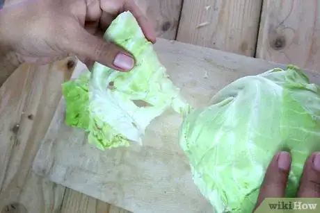 Image titled Steam Cabbage Step 2