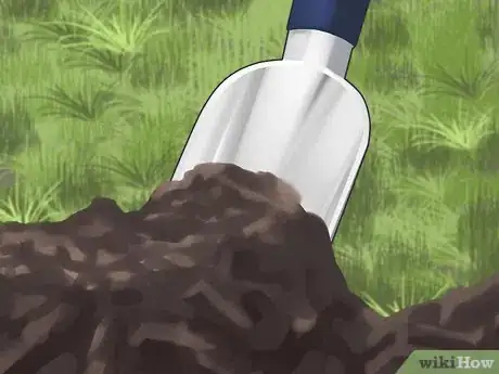 Image titled Plant a Plum Seed Step 14