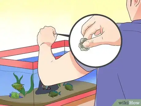 Image titled Make Your Fish Live Longer Step 14