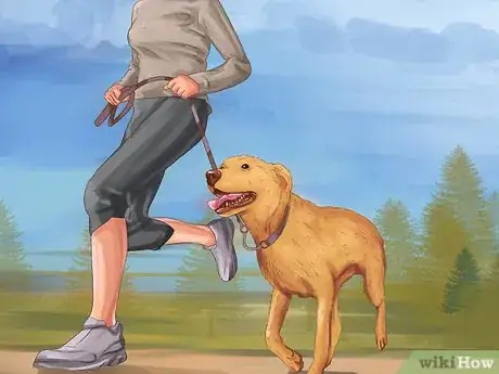 Image titled Help a Dog with Sleep Incontinence Step 14