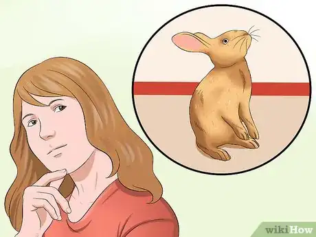 Image titled Care for Sussex Rabbits Step 15