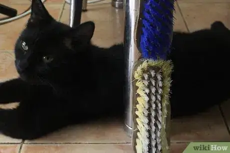 Image titled Make a Homemade Cat Spa Step 3