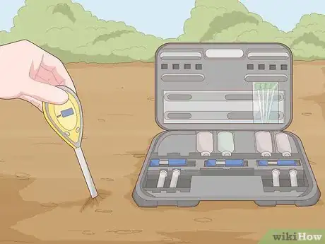 Image titled Grow Giant Vegetables Step 8