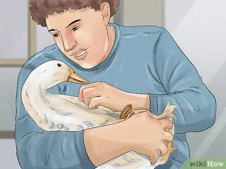 Image titled Train Ducks Step 9