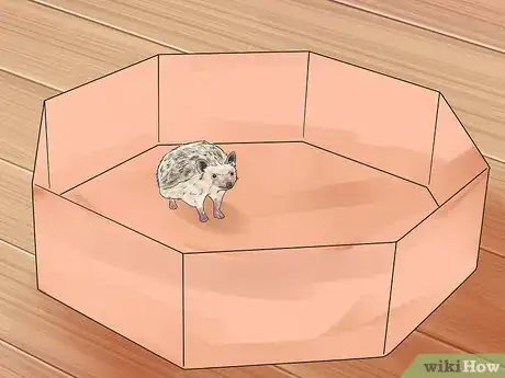 Image titled Care for African Pygmy Hedgehogs Step 8