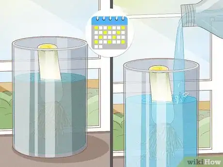 Image titled Grow Leeks from Leeks Step 4