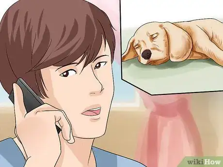 Image titled Approach an Injured Animal Step 15