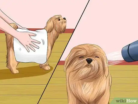 Image titled Bathe a Shih Tzu Puppy Step 12