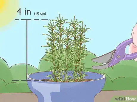 Image titled Grow an Herb Garden Step 24