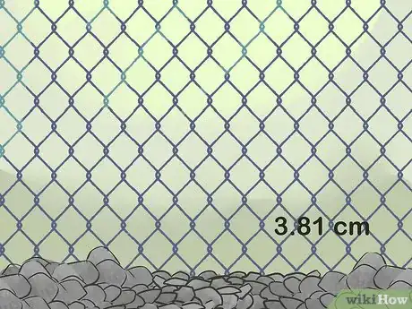 Image titled Tame Pigeons to Be out of Cage Permanently Step 7