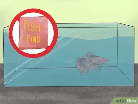 Image titled Transport Fish Step 3