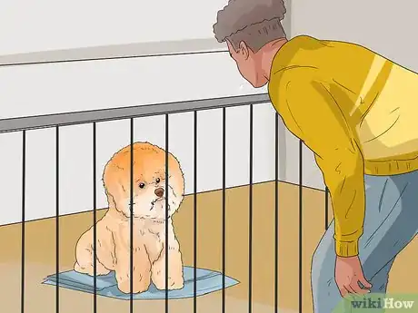 Image titled Know if a Bichon Frise Is the Right Dog Breed for You Step 8